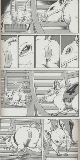 anus clothed clothing duo female feral genitals muzzle_(object) muzzled partially_clothed tail vulva unknown_artist mammal murid murine rat rodent comic compression_artifacts grandfathered_content greyscale hi_res monochrome pen_(artwork) source_request traditional_media_(artwork)