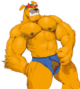 5_fingers abs anthro arm_tuft balls barely_visible_balls barely_visible_genitalia biceps big_muscles big_pecs big_teeth black_nose blue_clothing blue_underwear clothed clothing clothing_pull elbow_tuft eyebrows fangs fingers flaccid floppy_ears foreskin fur genitals grin humanoid_genitalia humanoid_penis kerchief male mostly_nude muscular muscular_anthro muscular_male nipples orange_body orange_fur pecs penis red_eyebrows smile snout solo teeth thick_eyebrows thick_neck thick_thighs tuft underwear underwear_only underwear_pull bruskaroo nintendo warioware dribble_(warioware) bulldog canid canine canis domestic_dog mammal mastiff molosser hi_res