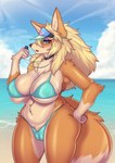 anthro beach big_breasts bikini blush breasts camel_toe clothed clothing female fur genitals hair looking_at_viewer outside pussy seaside sky solo swimwear tail two-piece_swimsuit water asutatinn61 nintendo canid canine canis mammal absurd_res hi_res