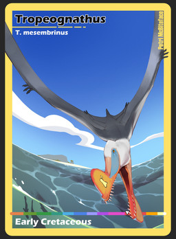 3_fingers ambiguous_feral ambiguous_gender beak black_text blue_beak blue_sky cloud day feet feral fingers flying grey_body grey_tail grey_wings island membrane_(anatomy) membranous_wings multicolored_beak multicolored_body open_mouth orange_beak orange_eyes outside patagium pink_beak pupils sand sea shark_teeth sharp_teeth sky solo tail teeth text toes water white_body white_text wings yellow_beak yellow_text combos-n-doodles ambient_fish ambient_sealife prehistoric_species pterosaur reptile scalie tropeognathus 2026 absurd_res english_text hi_res