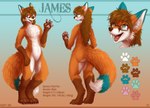 anthro blue_body blue_eyes blue_fur brown_hair claws eyewear fluffy fur glasses hair happy leg_markings long_hair looking_at_viewer male markings orange_body orange_fur pawpads socks_(marking) solo white_body white_fur chibity james_(weatherboy1102) canid canine fox mammal red_fox true_fox absurd_res hi_res model_sheet