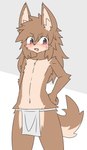 ambiguous_gender anthro bottomwear breasts brown_body brown_fur clothing featureless_breasts fur loincloth red_eyes simple_background solo young kiukiu canid mammal absurd_res hi_res