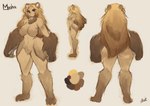 alternate_species big_hands blonde_hair brown_hair claws ear_piercing ear_ring female furrification gradient_hair hair inner_ear_fluff long_hair markings neck_tuft nude piercing ring_piercing solo tuft wide_hips rdusk_huntress mobile_legends masha_(mobile_legends) bear humanoid mammal hi_res model_sheet sketch