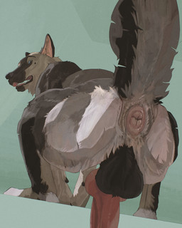 animal_genitalia animal_penis anus balls blue_eyes brown_body brown_fur butt canine_genitalia canine_penis digitigrade erection fangs feral fur genitals green_background knot knotted_penis looking_at_viewer looking_back male penis presenting presenting_anus presenting_hindquarters raised_tail simple_background snout solo tail teeth white_body white_fur cosmiclife ryan_(ry_the_shep) canid canine canis domestic_dog german_shepherd herding_dog mammal pastoral_dog hi_res shaded