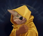 anthro clothing coat drawstring eyebrows green_eyes holding_clothing holding_object looking_at_viewer male raincoat raised_eyebrow solo topwear yellow_raincoat cptbeetle arches_(game) echo_(series) echo_project cameron_wilson canid canine canis coyote mammal 2021 hi_res