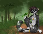 animal_genitalia anklet anthro balls black_body black_fur bracelet digit_ring ear_piercing feet fully_sheathed fur furgonomics furry-specific_piercing genital_piercing genitals gloves_(marking) holding_leaf holding_object jewelry leaf leg_markings male markings necklace nude piercing purple_eyes rainbow_piercings ring scrotum_piercing sheath sheath_piercing sitting socks_(marking) solo striped_markings striped_tail stripes tail tail_markings toe_ring toes white_body white_fur zephyrpanthur lemur mammal primate strepsirrhine 2025 5:4 hi_res
