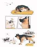 alternate_species anus duo eyes_closed feral fur fur_tuft inner_ear_fluff male pawpads raised_tail sleeping sound_effects tail text tuft vowelless vowelless_sound_effect whiskers white_body white_fur zzz juanmao1997 the_king's_avatar han_wenqing_(tka) ye_xiu_(tka) arthropod canid canine canis domestic_cat domestic_dog felid feline felis german_shepherd herding_dog insect mammal pastoral_dog 2022 chinese_text hi_res translated