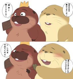 anthro blush brown_body crown dialogue duo headgear king open_mouth royalty simple_background slightly_chubby text sushikorourcon disney hoppers_(disney) pixar king_george_(hoppers) loaf_(hoppers) beaver mammal rodent 2026 comic hi_res japanese_text