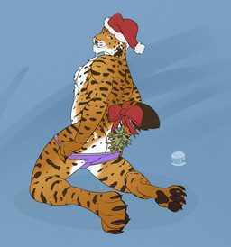anthro bow_ribbon briefs briefs_pull christmas_clothing christmas_headwear clothing hat headgear headwear holidays male mistletoe mistletoe_on_tail plant santa_hat solo tail teasing teasing_viewer teasing_with_butt underwear diddydoo christmas wilebobcat bobcat felid feline lynx mammal hi_res