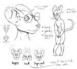 anthro blush directional_arrow ears_back ears_down ears_up eyewear femboy genitals glasses happy locked_knees male nerd penis pivoted_ears sad solo surprise text trashmen mammal murid murine rat rodent english_text model_sheet monochrome