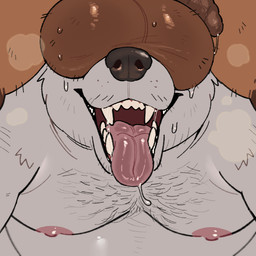 anthro balls balls_on_face big_balls bodily_fluids body_hair brown_body brown_fur chest_hair dripping duo fangs flaccid foreskin fur genital_fluids genitals huge_balls humanoid_genitalia humanoid_penis male male/male musky_balls open_mouth open_smile penis precum precum_drip precum_string slightly_chubby slightly_chubby_anthro slightly_chubby_male smile sweat sweaty_balls sweaty_genitalia teeth these_aren't_my_glasses tongue tongue_out roseonapot toast_(roseonapot) bear canid canine mammal polar_bear raccoon_dog tanuki ursine 1:1