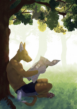 anthro biped bottle bottomwear clothed clothing container detailed_background forest grass male map nature outside plant shorts sitting solo tail topless tree wood taodog canid canine canis domestic_dog mammal 2011