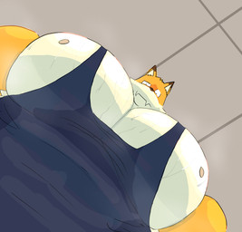 anthro big_muscles big_pecs bodily_fluids bottomless clothed clothing fur huge_muscles huge_pecs hyper hyper_muscles hyper_pecs looking_at_viewer looking_down low-angle_view male muscular muscular_anthro muscular_male nipples pecs shirt shirt_only small_nipples solo sweat sweaty_body sweaty_pecs tank_top tank_top_only topwear topwear_only white_body white_fur worm's-eye_view yellow_body yellow_fur buff_fox pec_pov_meme blan_(buff_fox) canid canine fox mammal digital_media_(artwork) hi_res