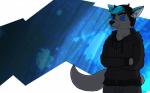 anthro black_hair black_nose blue_background blue_ears blue_eyes blue_hair bottomwear clothing crossed_arms fur grey_body grey_fur hair jumper male multicolored_hair pants simple_background smile solo standing white_background kawfee statera canid canine canis mammal wolf 16:10 2017 cel_shading digital_media_(artwork) hi_res shaded widescreen