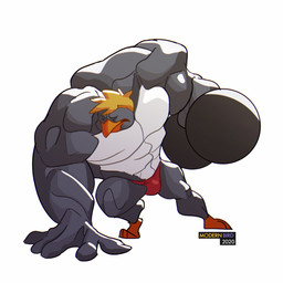anthro beak bulge clothed clothing exercise male muscular muscular_anthro muscular_male solo speedo swimwear topless topless_male weightlifting workout modern_bird avian bird crested_penguin penguin 1:1 absurd_res hi_res