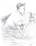 all_fours belly big_belly female feral fur huge_belly hyper hyper_pregnancy lake mane mountain mouth_closed nature nature_background nude outside partially_submerged plant pregnant pregnant_female pregnant_feral running solo splash splashing_water tree trotting water beuwens-folder equid equine horse mammal 2018 hi_res signature