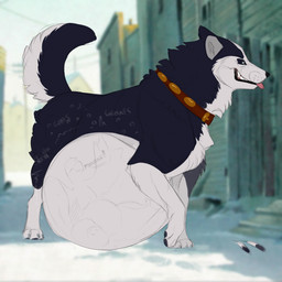 abdominal_bulge belly big_belly black_body black_fur collar feral feral_pred fur huge_belly male male_pred rumbling_stomach same_size_vore tongue tongue_out vore white_belly white_body white_fur smokeygraypaws balto_(series) universal_studios steele_(balto) canid canine canis domestic_dog husky mammal nordic_sled_dog spitz 1:1 2024 absurd_res hi_res