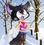 anthro black_body black_fur black_hair boots bottomwear breath clothing coat female footwear fur hair jacket legwear looking_up purple_eyes scarf shoes skirt snow solo thigh_highs topwear white_body white_fur winter young young_female clyndemoon calle_(higgo) canid canine fennec_fox fox mammal true_fox hi_res male_(lore)