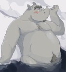 anthro bathing belly blush grey_body horn humanoid_hands kemono male nude overweight overweight_anthro overweight_male partially_submerged pubes solo water train_(artist) mammal rhinoceros 2012