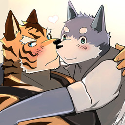 anthro black_nose blush clothed clothing countershading duo fur heart_symbol male male/male muscular muscular_male striped_body striped_fur stripes bearlovestiger13 lagoon_lounge gou_sanriku seiya_inami canid canine felid mammal pantherine tiger 1:1 2015 hi_res
