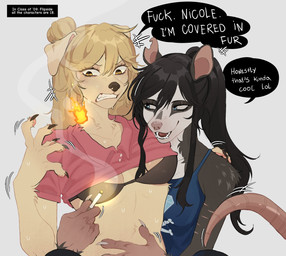 5_fingers alternate_species anthro biped black_hair bottomwear bra breasts brown_body brown_fur brown_hair brown_tail claws clothed clothed_anthro clothed_female clothing dialogue duo female finger_claws fingers front_view fully_clothed fully_clothed_anthro fully_clothed_female fur furrification grey_body grey_fur hair profanity simple_background speech_bubble standing tail text topwear underwear raccoattack class_of_09 jecka_(class_of_09) nicole_(class_of_09) american_opossum canid canine canis domestic_dog mammal marsupial english_text hi_res