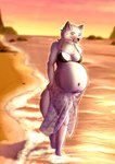 anthro anthro_pred beach belly big_belly bikini bikini_top black_bikini black_clothing black_nose black_swimwear breasts clothing digestion female female_pred fur grey_body grey_fur licking licking_lips medium_breasts midriff navel neck_tuft sarong solo sunset swimwear tongue translucent translucent_clothing tuft two-piece_swimsuit unseen_prey vore walking water yellow_eyes g3xa rayne_(antillion123) canid canine canis mammal wolf 2024 absurd_res digital_media_(artwork) hi_res