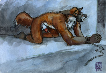 animal_genitalia animal_penis anthro bdsm bondage bound canine_genitalia canine_penis detached_sheath genitals half-erect knot knot_in_sheath male muzzle_(object) muzzled penis penis_tip sheath solo submissive submissive_male tail java mudshark canid canine fox mammal