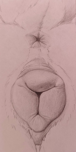 animal_genitalia animal_vulva anus_focus canine_genitalia canine_vulva close-up faceless_character female feral fur genital_focus genitals low-angle_view realistic_feral simple_background solo tail_anus vulva vulva_focus loobylewds canid mammal absurd_res hi_res sketch traditional_media_(artwork)