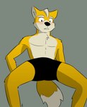 anthro blush boxer_briefs boxers_(clothing) clothing fox_tail fur male orange_body orange_fur simple_background solo spread_legs spreading underwear nihilistdigby nintendo star_fox fox_mccloud canid canine fox mammal absurd_res hi_res