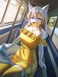 anthro blue_eyes breasts clothed clothing detailed_background dipstick_tail dress female fur grey_hair hair heart_jewelry heart_necklace heart_symbol jewelry legwear markings necklace solo stockings sundress tail tail_markings topwear vehicle white_body white_fur pinkerie sakura_blossom_(wolfyfufflywolf) arctic_fox canid canine canis fox mammal true_fox 2023 3:4 digital_media_(artwork) hi_res