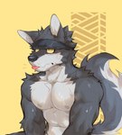 accessory anthro bodily_fluids fur headband headband_only male multicolored_body multicolored_fur muscular muscular_arms muscular_male navel nipples pecs simple_background sitting solo sweat sweatband sweatdrop tail tongue tongue_out yellow_sclera flunky flunky_(character) canid canine canis mammal wolf absurd_res hi_res