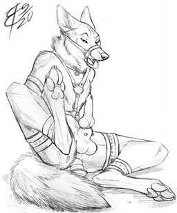 anal anal_penetration animal_genitalia animal_penis ankle_cuffs anklet anthro armband balls bdsm binder_(restraint) bondage bondage_gear bound canine_genitalia canine_penis cheek_tuft chest_tuft claws collar collar_only cuff_(restraint) digitigrade dildo dildo_in_ass dildo_insertion facial_tuft frogtied furgonomic_piercing furgonomics gag gagged genital_piercing genitals halter harness harness_gag harness_only harness_ring_gag inner_ear_fluff jewelry knot leather leather_cuffs legband legbinder legs_tied male muzzle_(object) muzzled neck_tuft nude object_in_ass paws penetration penis penis_piercing piercing pointy_ears prick_ears prince_albert_piercing restraints ring_gag sex_toy sex_toy_in_ass sex_toy_insertion shackles sheath sheath_piercing simple_background solo submissive submissive_male thigh_cuffs toe_claws tuft whisker_spots wrist_cuffs lizet kojote canid canine canis coyote mammal 2020 black_and_white digital_drawing_(artwork) digital_media_(artwork) full-length_portrait monochrome portrait signature