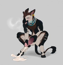 anthro balls blush bodily_fluids breath crouching cum cum_on_ground cumshot ear_piercing ejaculation erection genital_fluids genitals hooves male masturbation nude open_mouth orgasm orgasm_face penile penile_masturbation penis piercing solo cosmicminerals giraffid mammal okapi hi_res