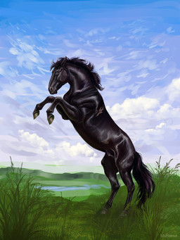 anatomically_correct animal_genitalia attached_sheath black_body black_hair black_mane black_tail cloud cloudy_sky feral field fully_sheathed fur genitals grass hair hooves male male_feral mane on_hind_legs plant realistic scar sheath sky solo tail beesa equid equine horse mammal 2021 digital_media_(artwork) digital_painting_(artwork) hi_res painting_(artwork) signature