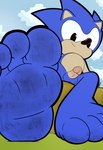 4_toes anthro balls barefoot dirty dirty_feet feet first_person_view foot_fetish foot_focus foot_play genitals low-angle_view male nude penis solo toes sokz sega sonic_the_hedgehog_(series) sonic_the_hedgehog absurd_res hi_res