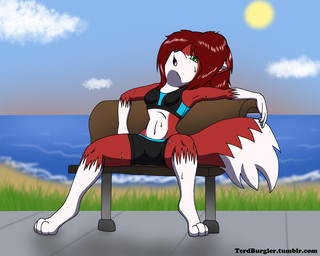 anthro barefoot beach bench biped bodily_fluids bottomwear bra clothed clothing cloud detailed_background feet female fluffy fluffy_tail gloves_(marking) grass green_eyes hair leg_markings linda's_jog long_hair markings navel on_bench open_mouth outside paws plant sand seaside shorts sitting sky socks_(marking) solo sports_bra spread_legs spreading sun sweat tail text underwear water terdburgler linda_wright canid canine domestic_cat felid feline felis fox hybrid mammal story story_in_description url
