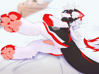animal_genitalia anthro anus aroused bed bed_sheet bedding bedroom bedside_table blush bodily_fluids butt digitigrade dipstick_ears dipstick_tail ear_markings embarrassed erection facial_tuft fur furniture genital_fluids genital_slit genitals gloves_(marking) hair inner_ear_fluff inside kemono leg_markings long_hair looking_at_viewer lying lying_on_bed male markings messy_hair multicolored_body multicolored_ears multicolored_fur nude on_bed on_side open_mouth paws penis precum presenting presenting_anus ridged_penis socks_(marking) solo tail tail_markings tapering_penis three-quarter_view tied_hair tuft leeni mythology dragon eastern_dragon furred_dragon furred_scalie mythological_creature mythological_scalie scalie 2024 4:3 digital_media_(artwork) hi_res