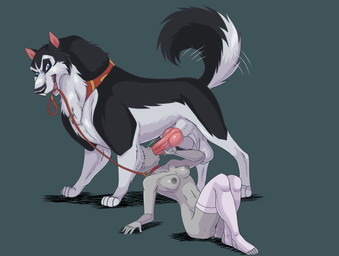 animal_genitalia animal_penis balls bestiality breasts canine_genitalia canine_penis dominant dominant_feral dominant_male duo erection faceless_character faceless_female fellatio female female_human female_on_feral female_penetrated feral feral_penetrating feral_penetrating_female feral_penetrating_human genitals human_on_feral human_penetrated interspecies knot knotted_penis larger_feral larger_male male male/female male_feral male_penetrating male_penetrating_female oral oral_penetration penetration penile penile_penetration penis saggy_balls servicing_from_below sex sheath size_difference smaller_female smaller_human submissive submissive_female submissive_human cajuzinho02 balto_(series) universal_studios steele_(balto) canid canine canis domestic_dog human husky mammal nordic_sled_dog spitz hi_res
