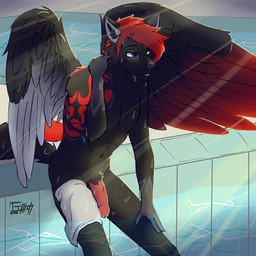 blue_eyes bodily_fluids feathered_wings feathers genitals hair humanoid_genitalia humanoid_penis male nude penis red_hair resting solo sweat swimming_pool tattoo towel tribal tribal_tattoo water wings year renashin_vixious xion_archaeus canid canine canis mammal wolf 1:1 2018 hi_res