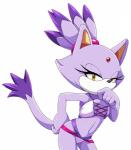 accessory anthro clothed clothing dipstick_tail eyelashes female forehead_gem fur gem hair hair_accessory hair_tie markings multicolored_tail purple_body purple_fur purple_hair solo swimwear tail tail_markings yellow_eyes scittykitty sega sonic_the_hedgehog_(series) blaze_the_cat domestic_cat felid feline felis mammal hi_res