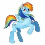 blue_body blue_feathers cutie_mark feathered_wings feathers female feral hair multicolored_hair multicolored_tail rainbow_hair rainbow_tail simple_background solo tail wings celebrated_earl friendship_is_magic hasbro my_little_pony mythology rainbow_dash_(mlp) equid equine mammal mythological_creature mythological_equine pegasus absurd_res hi_res