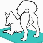 1:1 animal_genitalia anus ass_up backsack balls butt canid canine canis colored digital_drawing_(artwork) digital_media_(artwork) downward_dog downward_dog_pose ears_up feet feral fluffy fluffy_tail fox fur genitals looking_back male mammal open_mouth paws presenting presenting_anus raised_tail simple_background sketch smile solo submissive submissive_feral submissive_male tail toes true_fox tuft yoga yoga_mat zaricelite