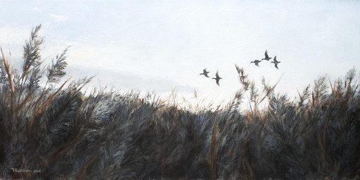 blue_sky cloud feral flock flying group plant reeds sky renum63 avian bird 2013 detailed