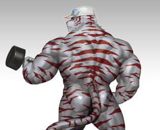 anthro back_muscles baseball_cap big_muscles blue_body blue_eyes blue_fur brown_body brown_fur butt clothing dumbbell exercise fur hat hat_only headgear headgear_only headwear headwear_only male mostly_nude muscular muscular_anthro muscular_male pink_nose simple_background solo standing striped_body striped_fur stripes weightlifting weights white_body white_fur workout traver009 seth_(laxerner) felid mammal pantherine tiger 2018