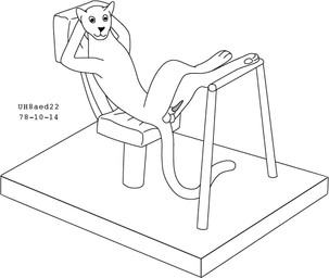 animal_genitalia animal_penis anthro balls chair erection feline_genitalia feline_penis fur furniture genitals hands_behind_head long_tail male nude nude_male on_chair penis sheath simple_background sitting smile smiling_at_viewer solo tail urbanhermit felid feline mammal pantherine 1978 20th_century ancient_art black_and_white dated monochrome