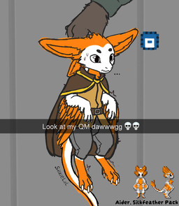 anthro belt belt_buckle blank_expression bodily_fluids buckle cape clothing feet fur male nervous nervous_sweat orange_body orange_fur scruff_grab solo sweat talons toes wall_(structure) silkielol snapchat space_station_13 avali resomi meme