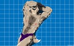 abs anthro biceps biped black_body black_fur black_nose black_spots bulge clothed clothing eyebrows fur fur_markings fur_tuft gloves_(marking) grey_body grey_fur hand_behind_head male markings mouth_closed muscular muscular_anthro muscular_male navel nipples one_eye_closed pose purple_clothing purple_speedo purple_swimwear raised_arms shadow solo sparkles speedo speedo_only spots spotted_body spotted_fur spotted_markings spotted_tail swimwear tail tail_markings topless tuft wet whisker_spots fabfelipe hyena mammal 16:10 2008 digital_media_(artwork) pinup widescreen