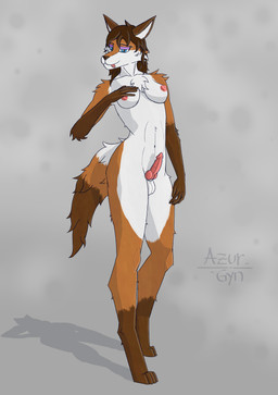 animal_genitalia animal_penis anthro athletic athletic_gynomorph athletic_intersex balls blep blue_eyes breasts brown_body brown_fur brown_hair canine_genitalia canine_penis curvy_figure digitigrade fur genitals gynomorph hair hand_on_breast intersex knot knotted_penis multicolored_body multicolored_fur nipples nude orange_body orange_fur penis realistic_penis_size simple_background solo tail tongue tongue_out white_body white_fur azurgyn canid canine fox mammal digital_drawing_(artwork) digital_media_(artwork) hi_res signature