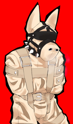 anthro bdsm bdsm_gear blindfold bulge clothed clothing collar fully_clothed hood male male_anthro muzzle_(object) muzzled red_background restrained restraints sensory_deprivation sensory_deprivation_hood simple_background solo straitjacket submissive submissive_anthro submissive_male rynnks canid canine canis domestic_dog mammal absurd_res hi_res