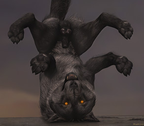 amber_eyes anatomically_correct anatomically_correct_genitalia animal_genitalia animal_penis balls black_nose breath canine_genitalia canine_penis claws ears_down feral fully_sheathed fur genitals grey_body looking_at_viewer male pawpads penis pivoted_ears raised_tail realistic_feral sheath solo spread_legs spreading tail teeth toe_claws tongue upside_down blodrain canid canine canis mammal wolf 3d_(artwork) digital_media_(artwork) hi_res